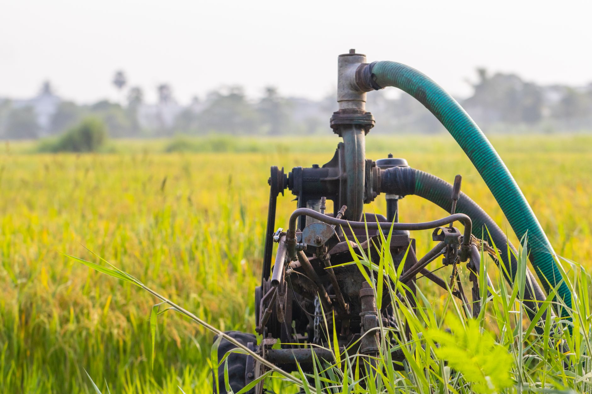 Oswal Pumps AGM
